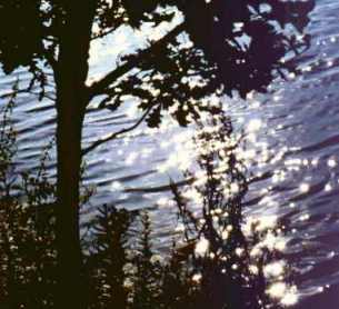 http://www.jeshua.net/afbeeldingen/zon_en_water.jpg